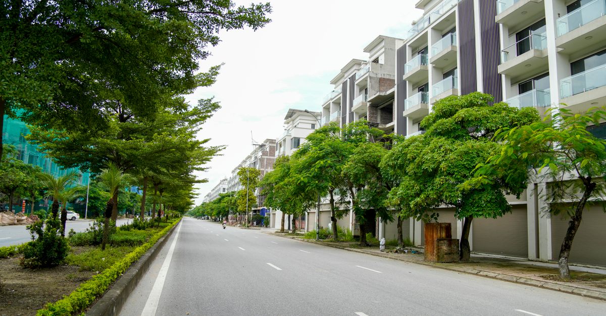 A tranquil street in Hà Nội lined with modern apartment buildings and lush trees, showcasing urban lifestyle.