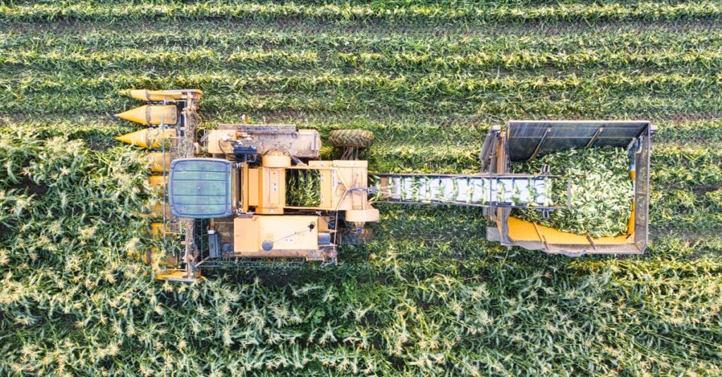 Aerial drone shot of a combine harvester working a cornfield in Minnesota, USA.